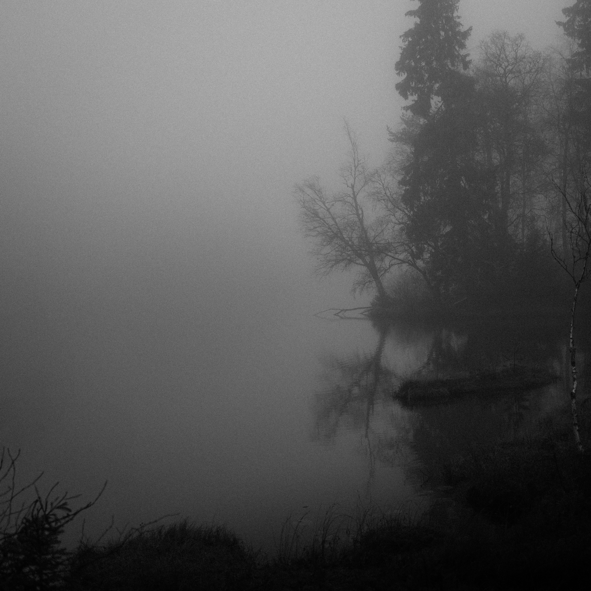 Adore You / Bored (Dave Clarke Remixes)